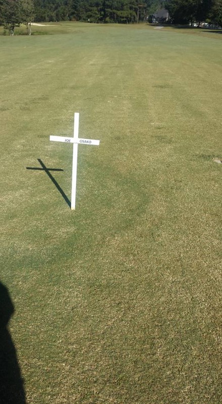 Cross1